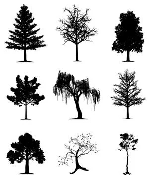 Trees collection Stock Illustration
