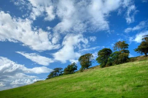 Trees on cotswold hillside Stock Photos