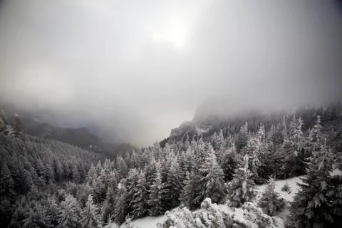 Trees covered with hoarfrost and snow in winter mountains - Christmas snowy b Stock Photos