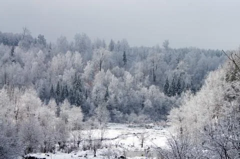 Trees covered with Stock Photos