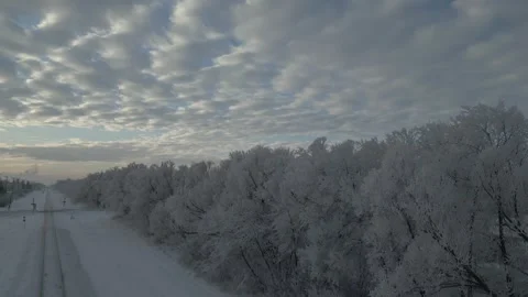 Trees covered with snow all white 動画素材 326339270