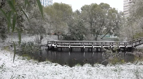 Trees covered with snow around the lake Stock-Footage 55871771
