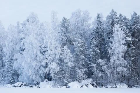 Trees covered in snow at lakeside Stock Photos