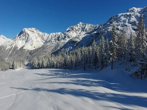 Trees covered with snow in mountain - Winter season Stock Footage 75465408
