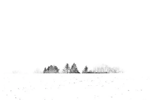 Trees covered with snow in the winter Foto stock