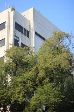 Trees covering the building Stock Photos