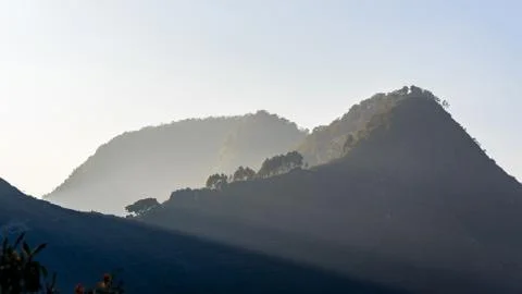 Trees on a crest Stockfoto's