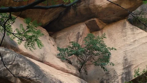 Trees Crowning Cliffs in Mountain Valley Under Blue Skies Stockbeeldmateriaal 320684721