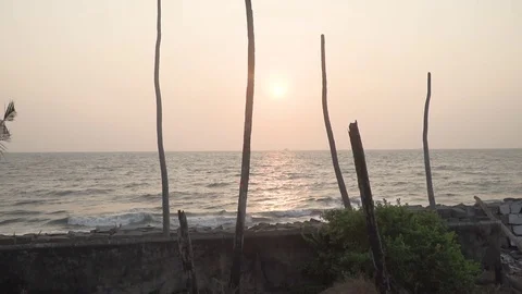 Trees cut down due to deforestation in beach side coconut trees in sunset Video stock 107878075