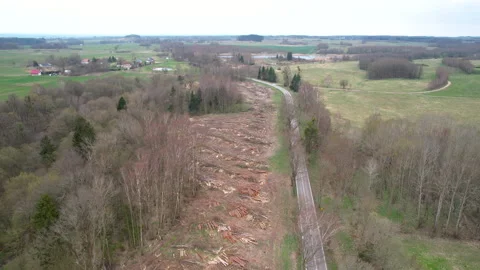 Trees cut for mining operations. Drone footage of deforestation. Stock Footage 239359484