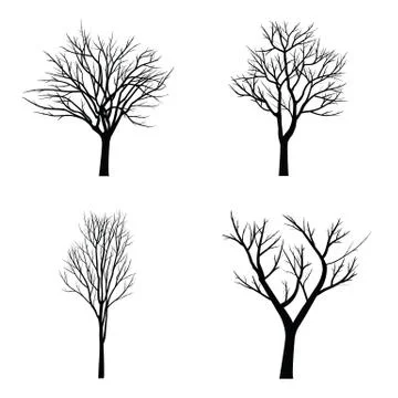 Trees with dead branch Stock Illustration