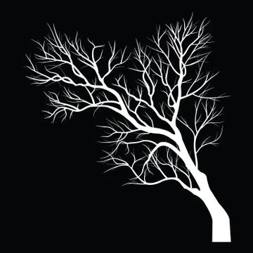 Trees with dead branch Stock Illustration