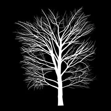 Trees with dead branch Stock Illustration