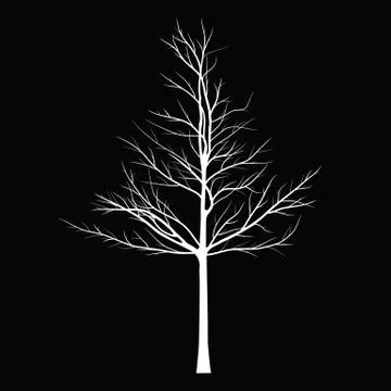 Trees with dead branch Stock Illustration