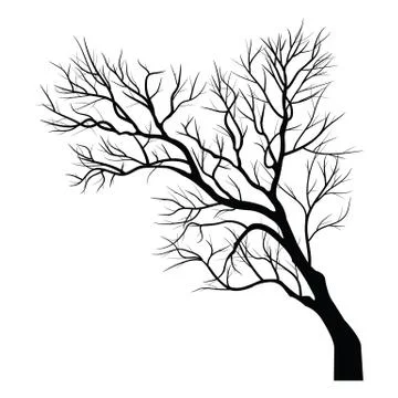 Trees with dead branch Stock Illustration