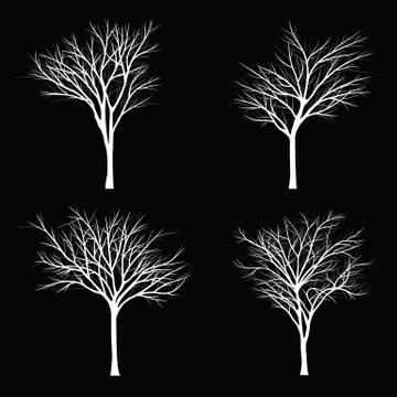 Trees with dead branch Stock Illustration