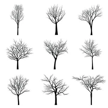 Trees with dead branch Stock Illustration