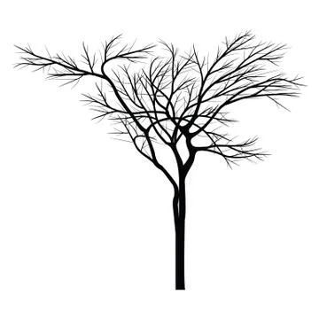 Trees with dead branch Illustrazione stock