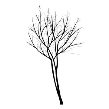 Trees with dead branch Stock Illustration