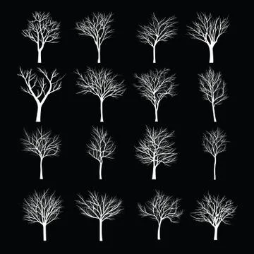 Trees with dead branch Stock Illustration