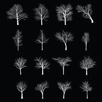 Trees with dead branch Stock Illustration