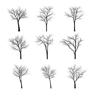 Trees with dead branch Stock Illustration