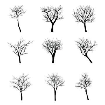 Trees with dead branch Stock Illustration