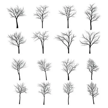 Trees with dead branch Illustrazione stock