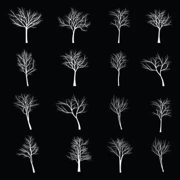 Trees with dead branch Illustrazione stock