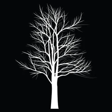 Trees with dead branch Illustrazione stock