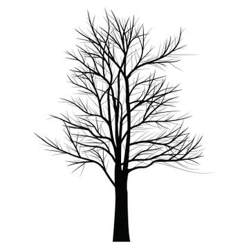 Trees with dead branch Stock Illustration