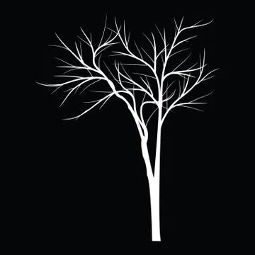 Trees with dead branch Stock Illustration