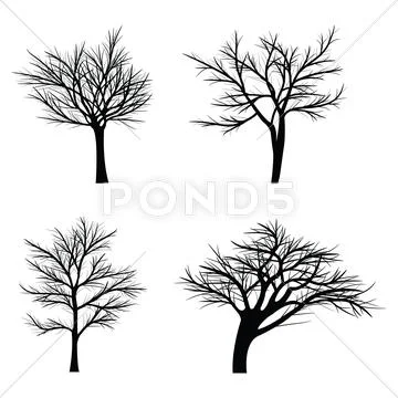 Trees with dead branches Stock Illustration