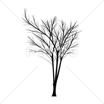 Trees with dead branches Stock Illustration