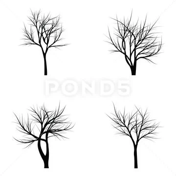 Trees with dead branches Stock Illustration