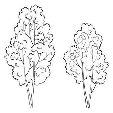 Trees deciduous, outline Stock Illustration