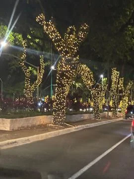 Trees decorated with bright lights Stock Photos