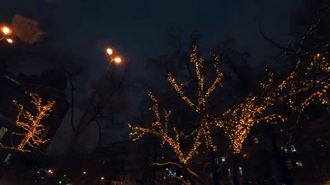 Trees decorated with Christmas festive lights at night Stock Footage 83663153