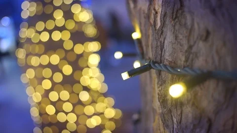 Trees Decorated With Christmas Lights Stock Footage 99818009