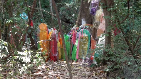 Tree's Decorated with Dresses to Honor Thai Tree Nymphs Stock Footage 74291920