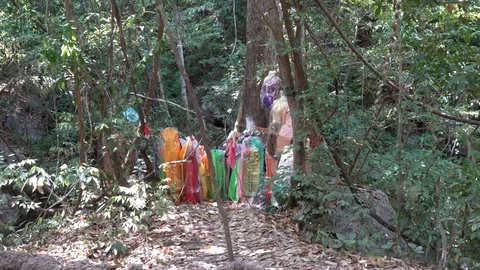 Trees Decorated with Dresses for Thai Tree Nymphs Stock Footage 74291869