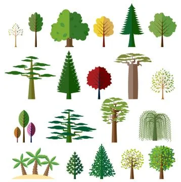 Trees from different regions of the world Stock Illustration