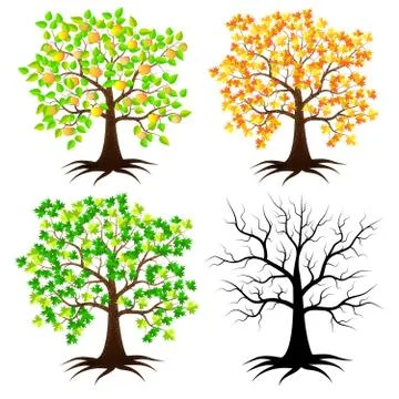 Trees in different versions Stock Illustration