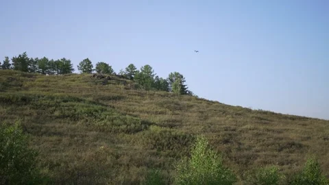 Trees in the distance on a hill Stock Footage 278469349