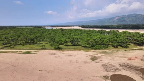 Trees with distance mountain Stock Footage 215447180