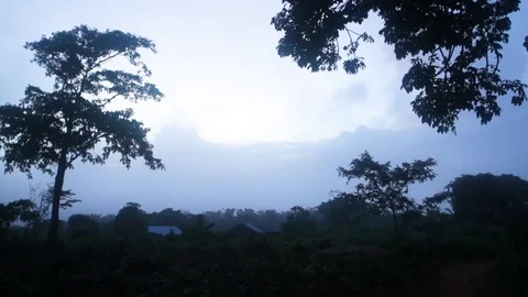 Trees during dusk with a backdrop of a village Stock Footage 77445067