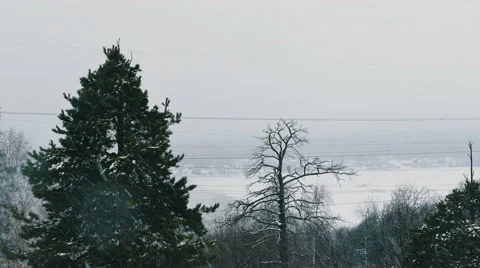 Trees During Heavy Snowfall and Village At Background Defocused Stock Footage 51173325