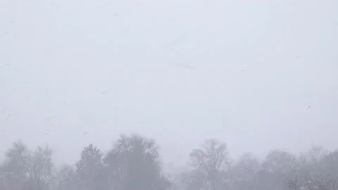 Trees during snow in blizzard. Snowstorm weather in winter Video stock 223018893