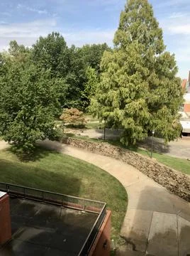 Trees during Spring Time Stock Photos