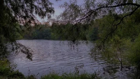 Trees at Dusk Framing a Lake at Centennial Park in Ellicott City, Maryland Video stock 266199859